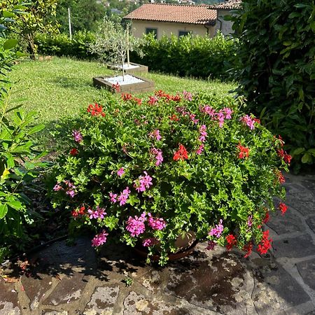 Casa Margherita Celide San Romano Zewnętrze zdjęcie