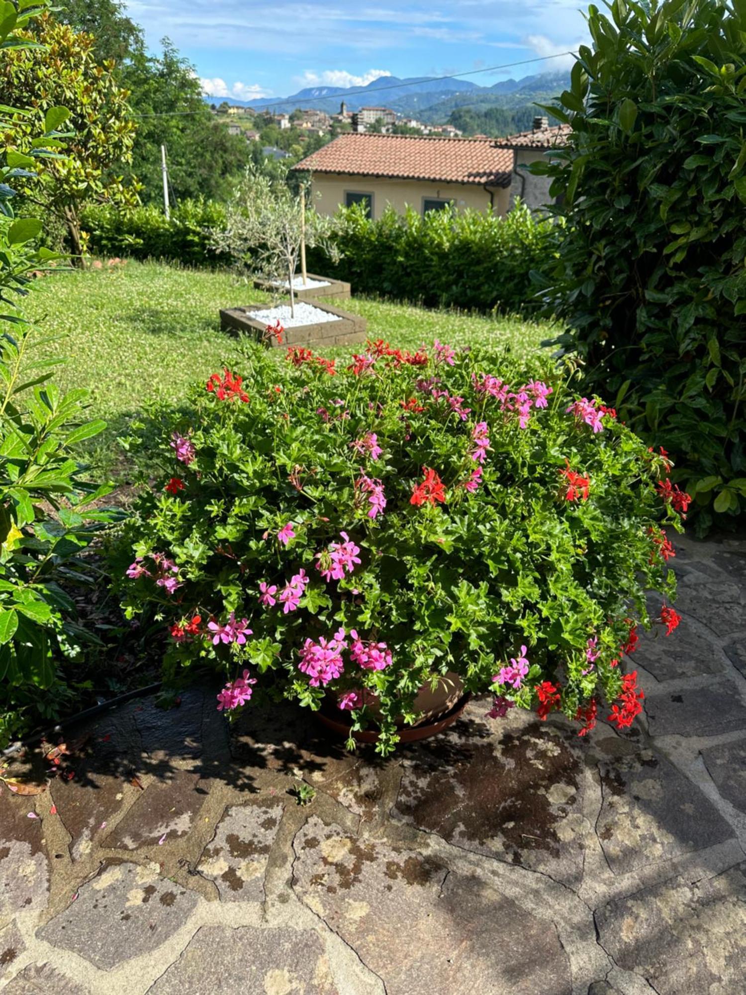 Casa Margherita Celide San Romano Zewnętrze zdjęcie